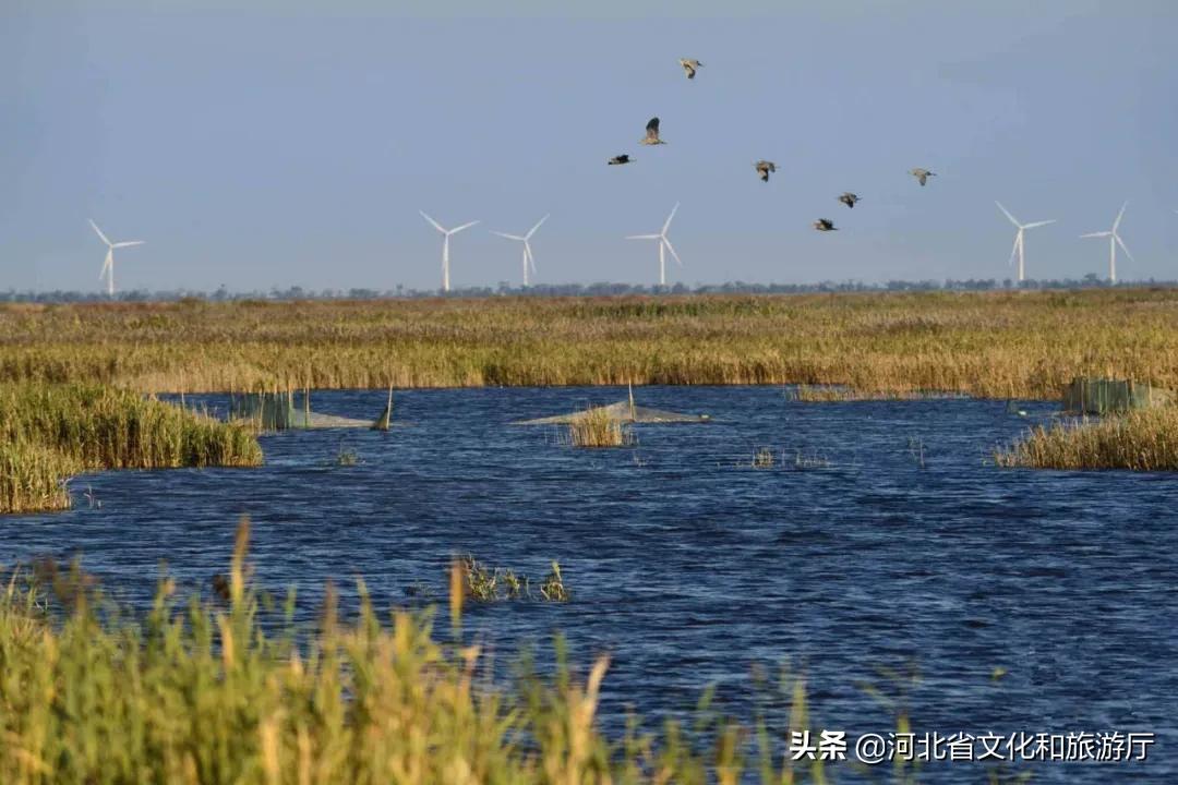爱家乡的旅游景点,爱家乡的风景