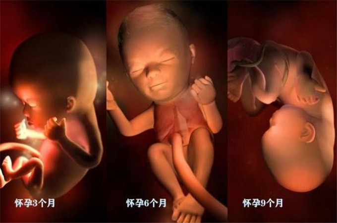 一张图告知你怀孕哪里疼,怀孕1到10个月对比照