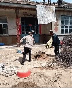 小萝莉搞笑图片,小萝莉的搞笑段子