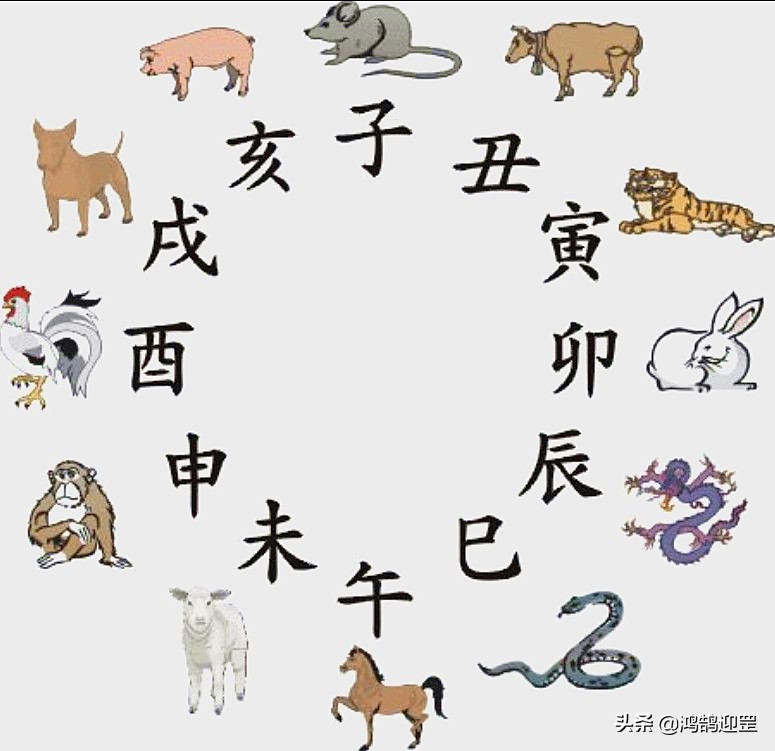 12生肖顺序为啥老鼠排第一,12生肖为什么老鼠排第一名
