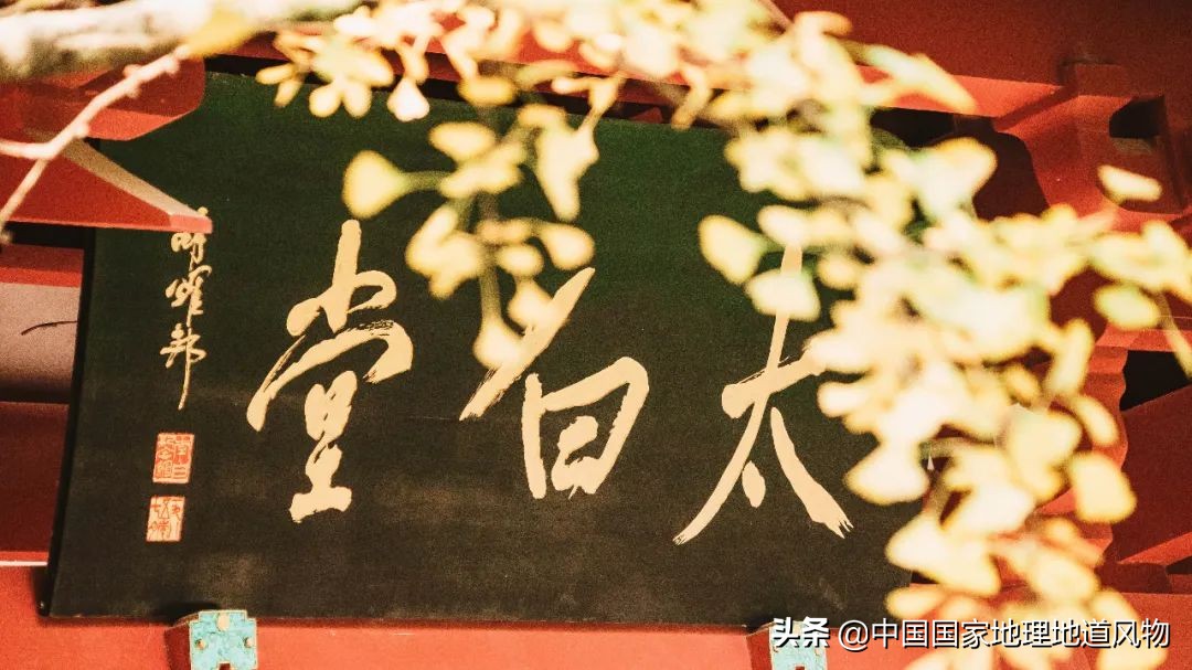李子柒绵阳的吗,李子柒深山隐居