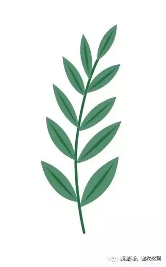 别样馫味！新都天府沸腾小镇，麻辣盛宴等你打卡