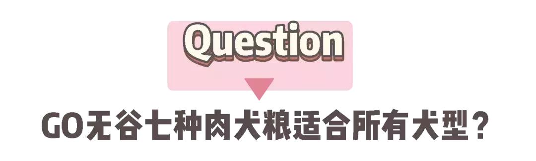 now和go区分,now和go猫粮哪个更好