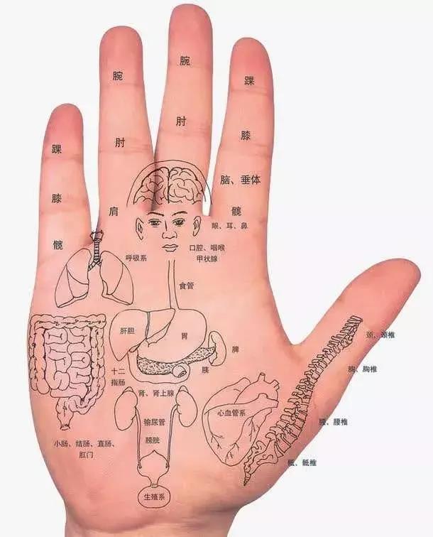 颈椎病腰腿疼按摩手法,颈椎病按摩小妙招