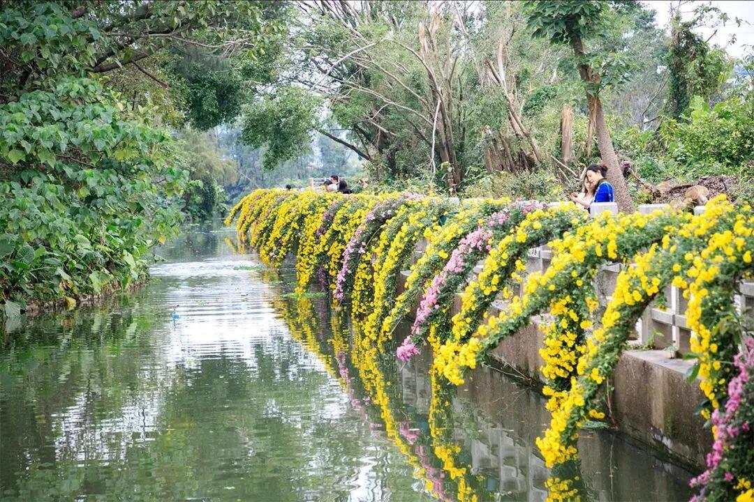 深圳免费公园哪里最好啊,深圳十大免费公园景点大全