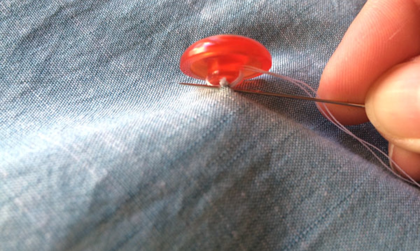 怎么在衣服上缝纽扣两孔,服装专业缝纽扣方法