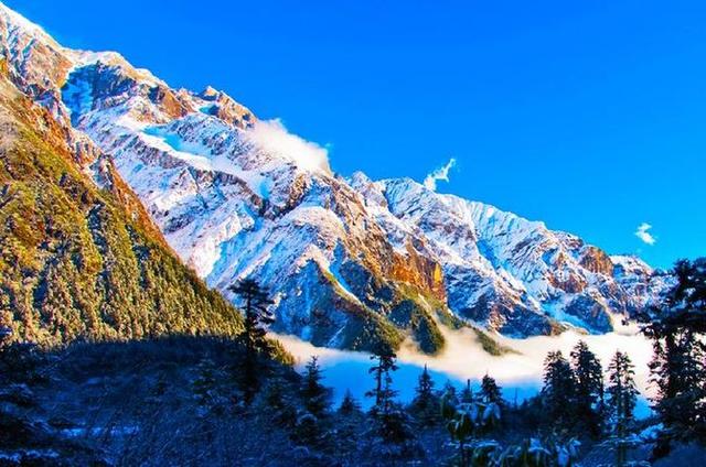 有哪些原始森林公园可以去玩,世界森林公园美景视频