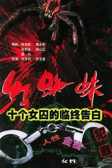 20年悬疑片排行榜前十名,最近十年评分最高的侦破电视剧