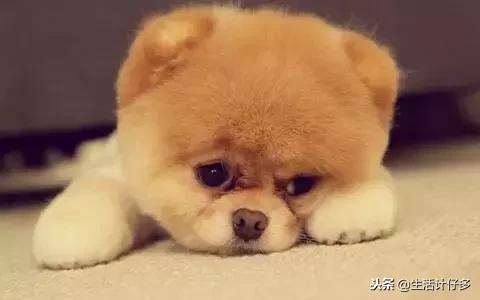 为什么每天油光满面,一到夏天就油光满面怎么回事
