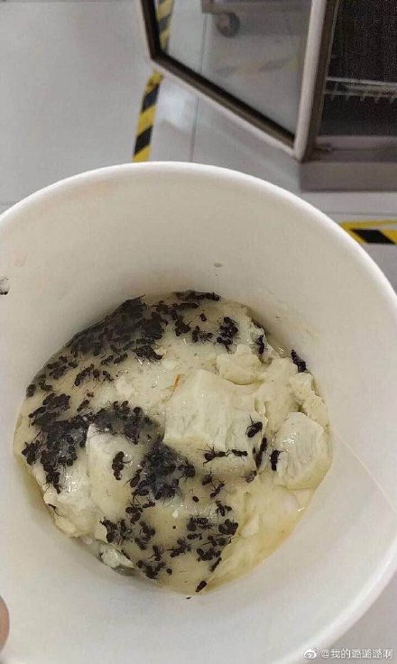 大学食堂黑暗料理大比拼,大学食堂黑暗料理大全