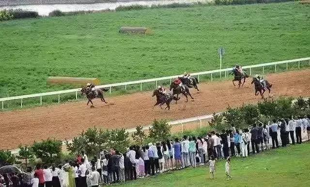 二青会宣布开幕,二青会比赛最新消息