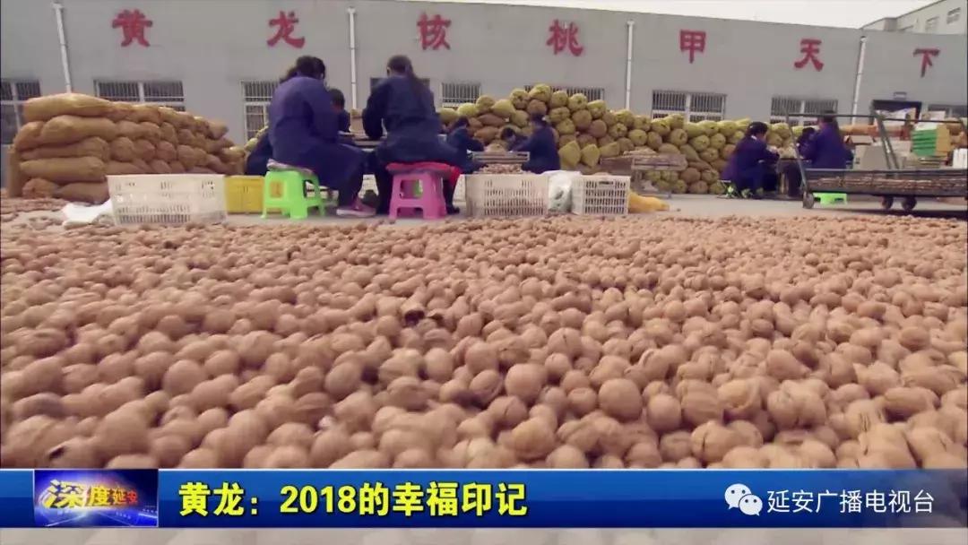 我们的2018非遗瑰宝,我们的2018好看吗