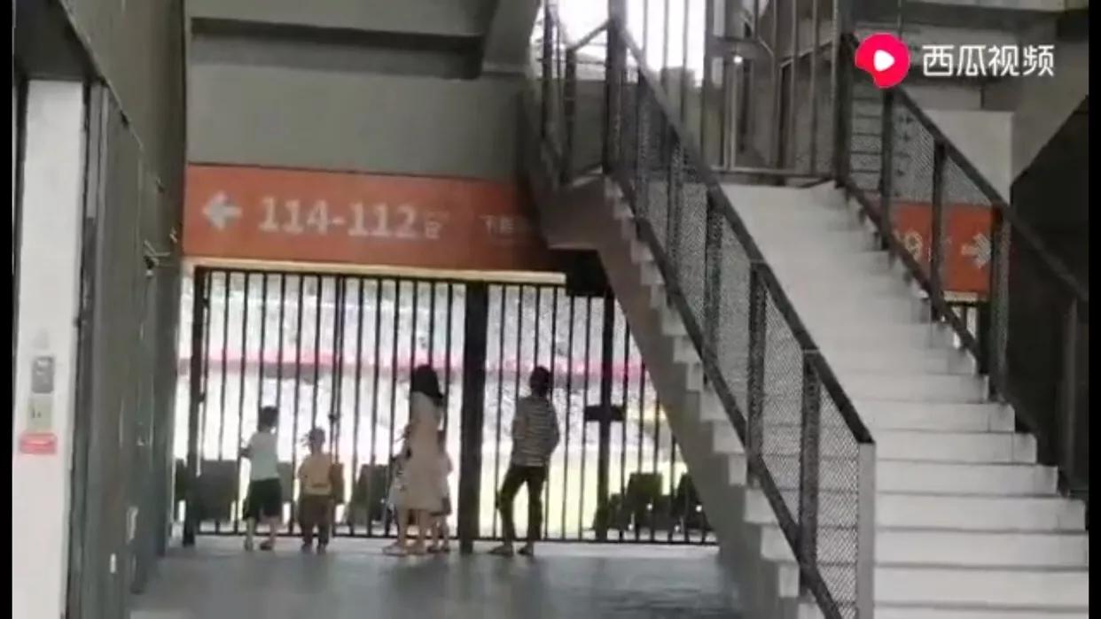 深圳大运中心体育馆图,深圳大运场馆