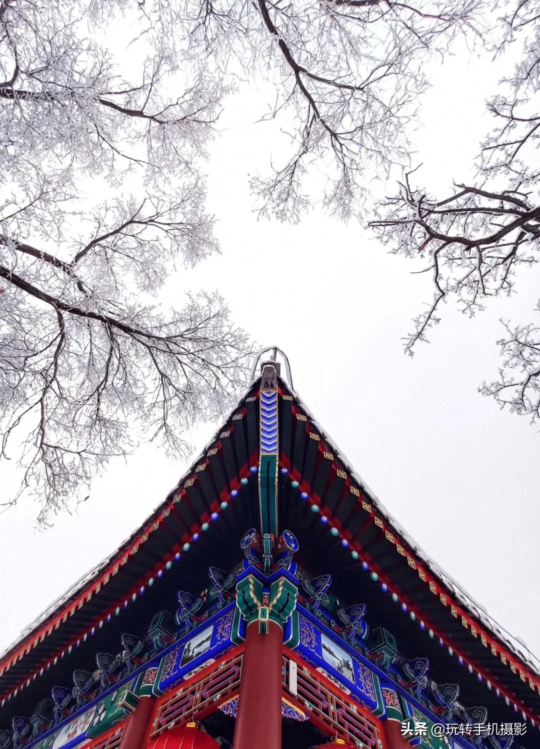 朋友圈赞爆的美照,雪景美爆朋友圈