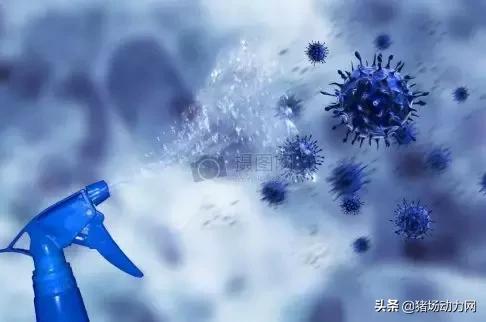 非瘟过后怎样消毒才能最快复养,非瘟如何正确消毒