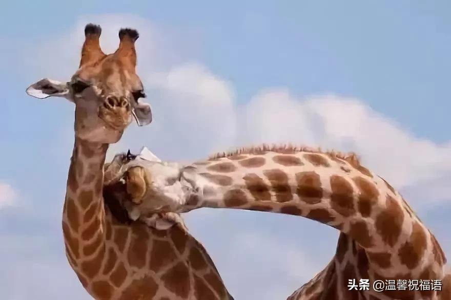 今天3月10，我的妈呀！谁编的，太好笑了，给群里乐一乐