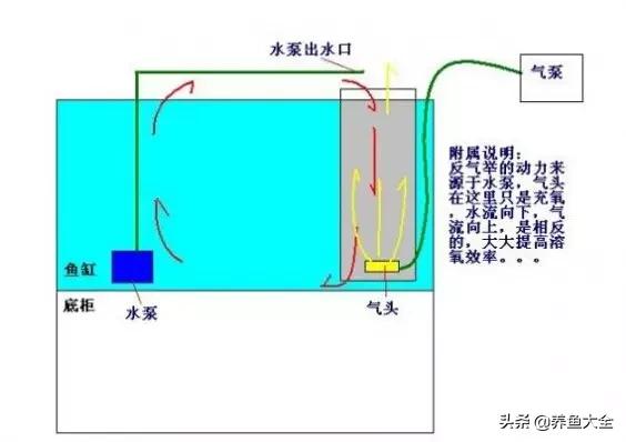 鱼缸各种过滤方式效果排名,细谈各种鱼缸过滤方法