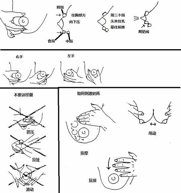 产后缺乳不必苦恼，中医妙招“奶水”自来