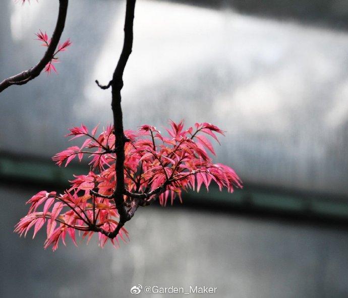 中考语文浏览理解专题训练题及答案,中考语文浏览理解专题训练