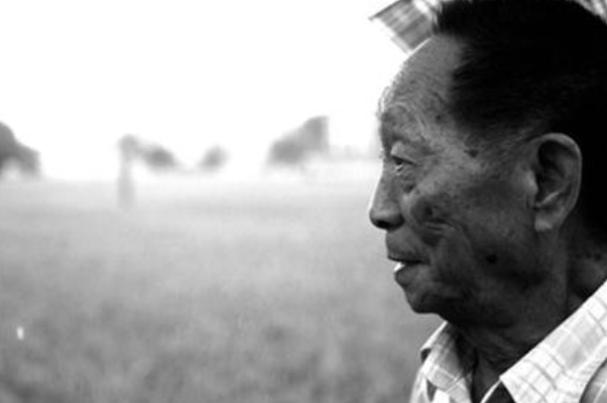 送别袁隆平群众高呼一路走好,袁隆平院士群众送别