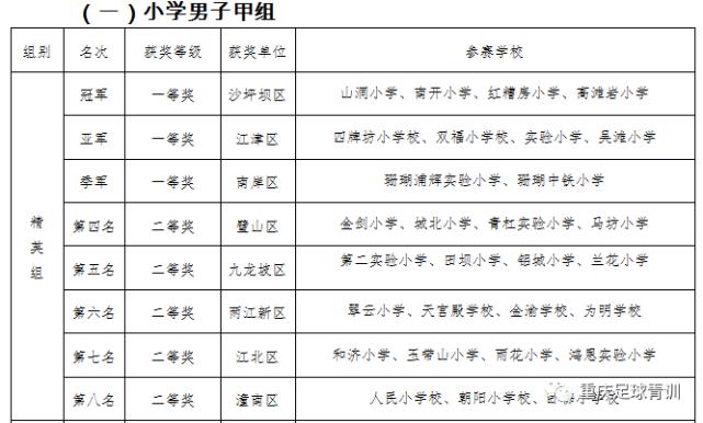 2017年重庆校园足球总决赛,重庆市校园足球总决赛乙组