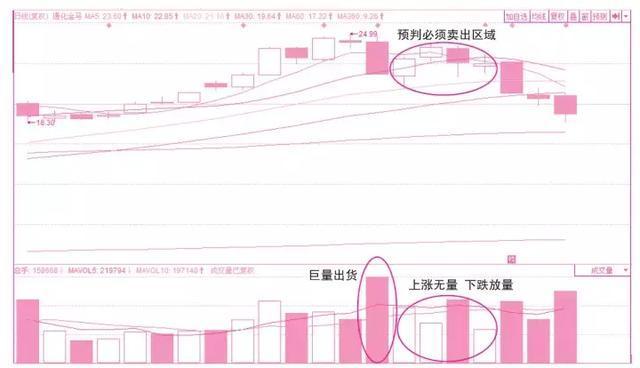 股票成交量绿色和红色代表什么,股票成交量低适合动手吗