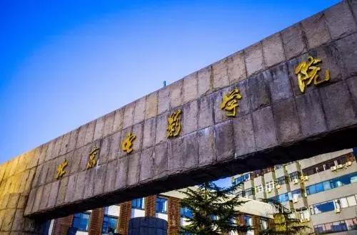导演个人风格对电影的影响,导演的艺术气质