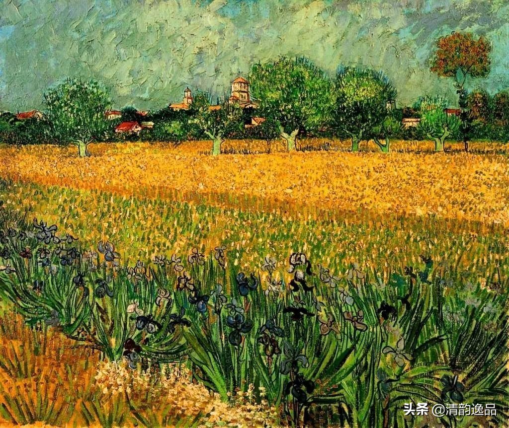 梵高vangogh向日葵,梵高的后期画风解析