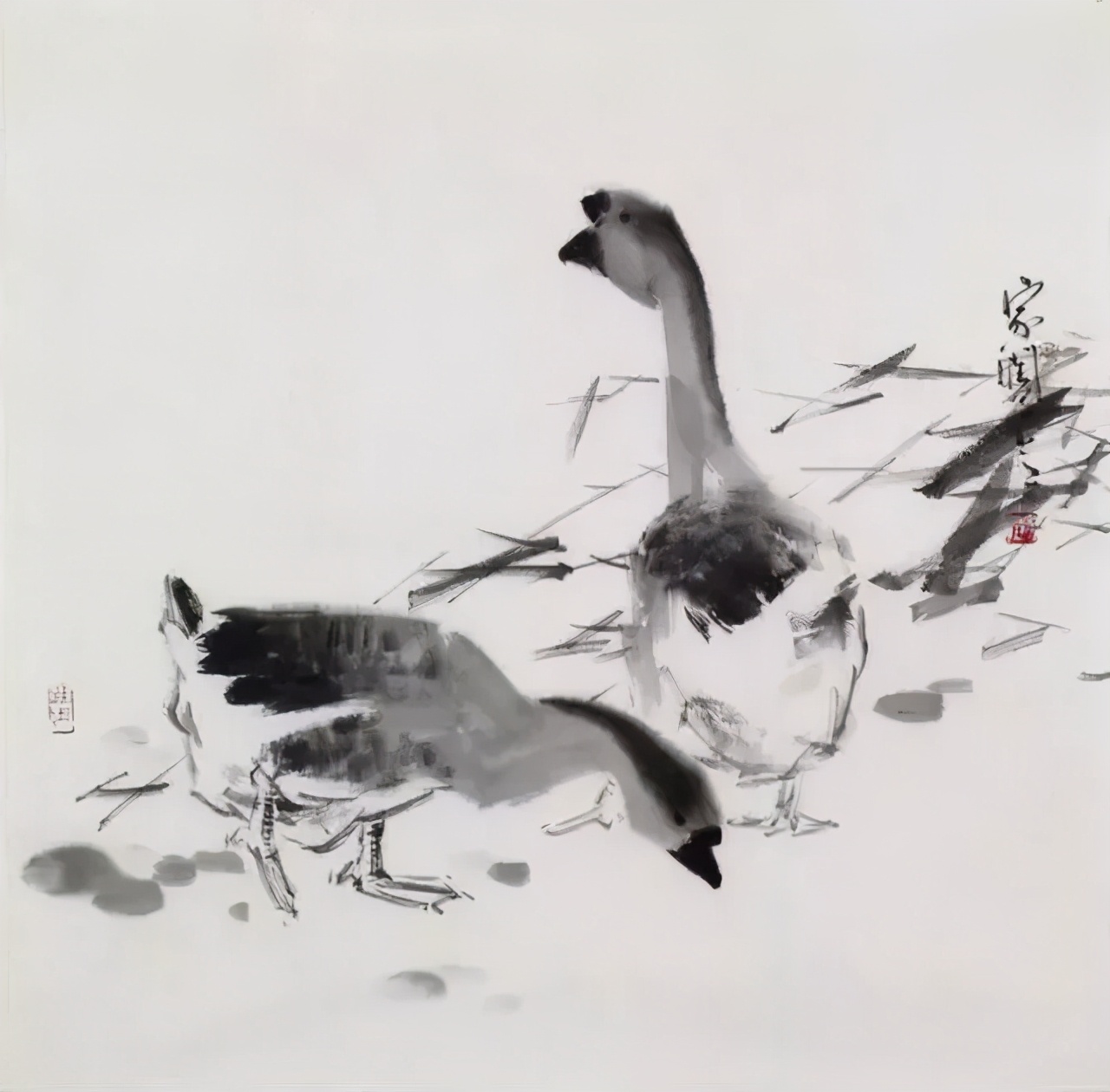 写意鹅国画图片,朱雪娥国画100幅