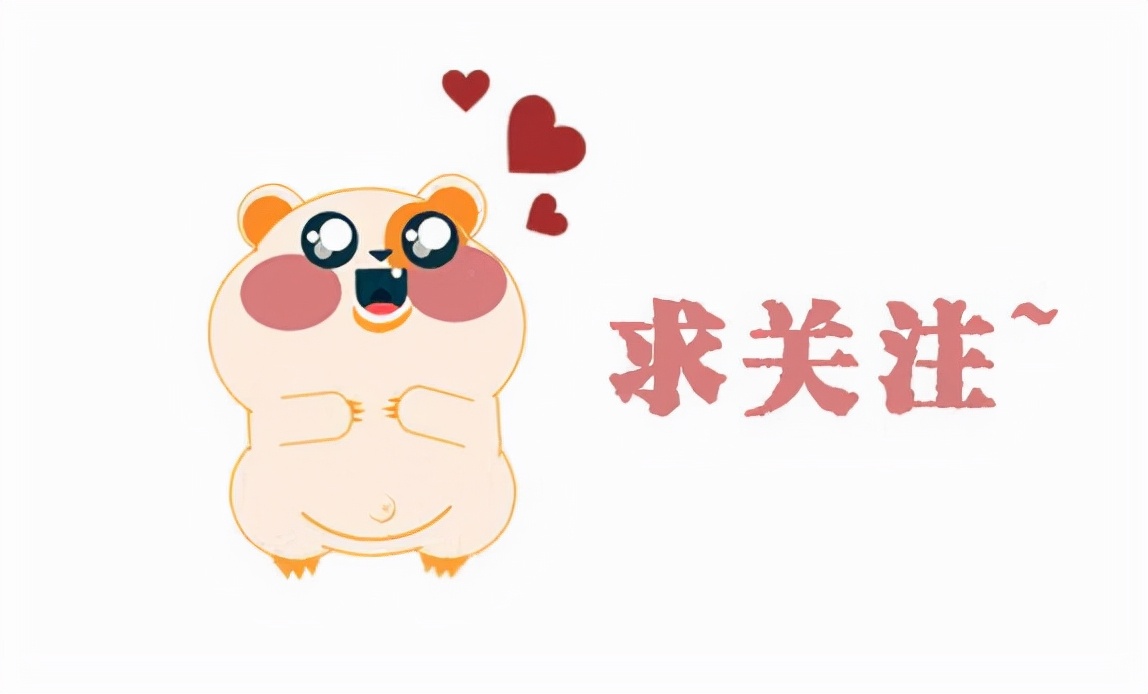 给猫咪剃毛会有哪些危害,一年的猫咪掉毛很严重需求剃毛吗