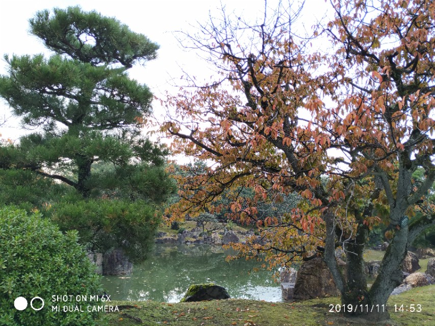 日本关西旅游14天,关西14天旅行攻略