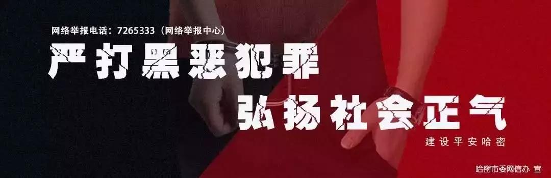 新疆铁路恢复部分旅客列车运营 (新疆铁路2020年首趟春运临客开行)
