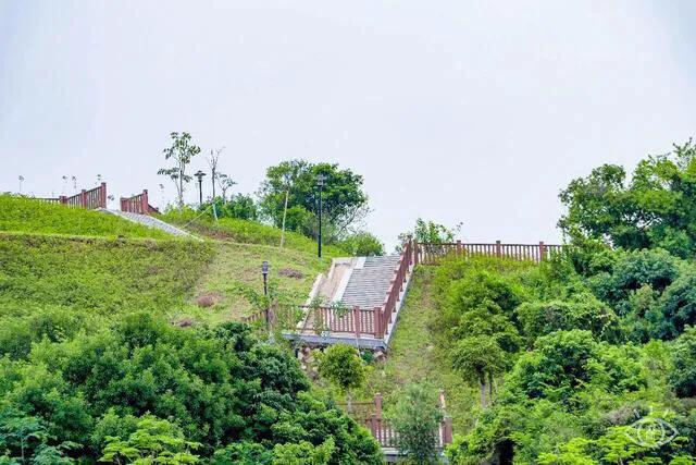 深圳免费公园哪里最好啊,深圳十大免费公园景点大全