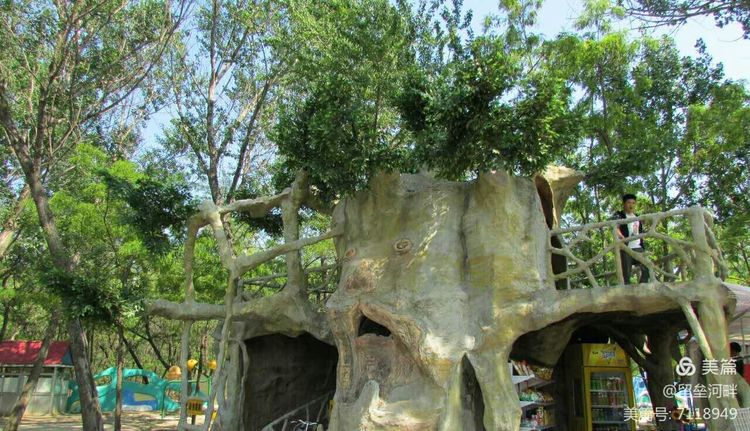 秦皇岛山海关游记,秦皇岛东山游记