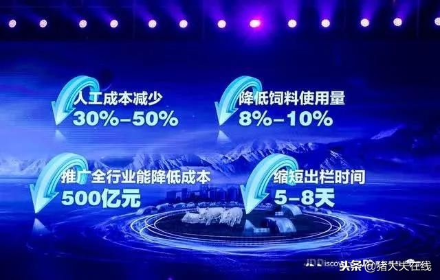 “京东猪”与网易、阿里养的猪有何异同？