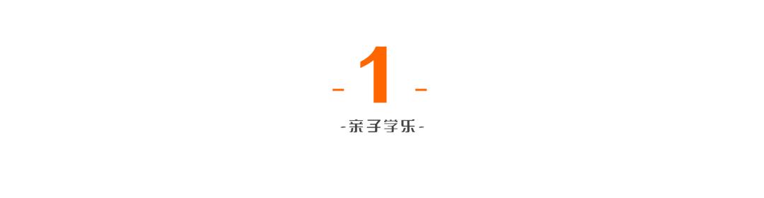 张柏芝谢霆锋王菲感情经历,张柏芝谢霆锋王菲的情感纠葛
