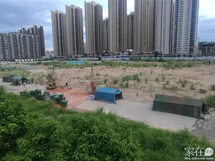 后红山时代,深圳龙华红山和上塘