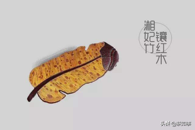 湿泡茶盘多大合适,湿茶盘分类及区分