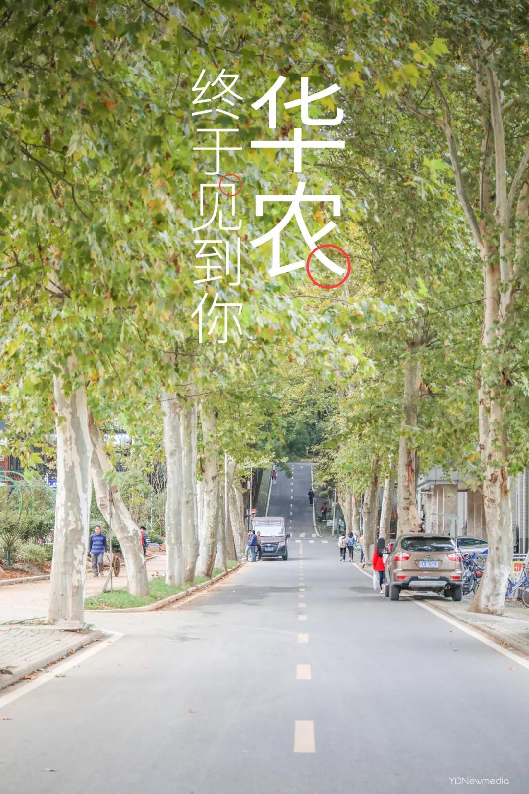 武汉农家乐一日游,武汉近郊农家乐一日游