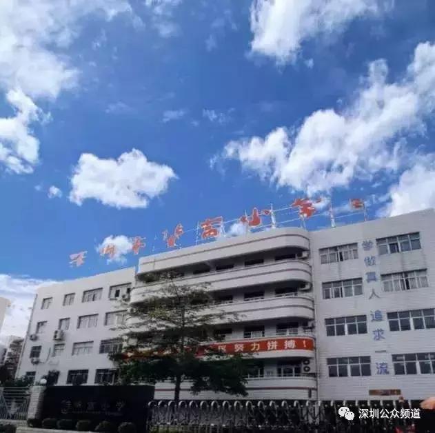 深圳贵族小学,深圳贵族小学排名前十名
