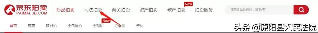 司法拍卖河南,司法拍卖工业用地住宅房
