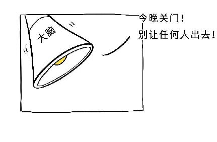 延伸护理服务与疾病知识科普（二）肛门的由来未完后面持续更新