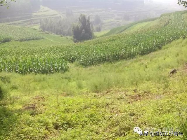 西行纪最后片段,西行纪第22天终结篇