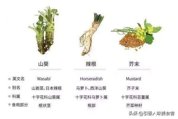 吃了特别新鲜的海鲜会拉肚子,吃不新鲜海鲜腹泻怎么补救