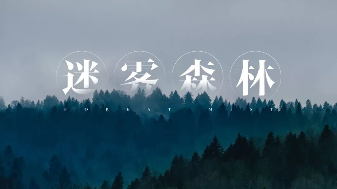 魅族17字体,魅族17手机发布会视频