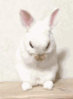 适合混合性皮肤的大牌洁面,适合干皮用的大牌洁面