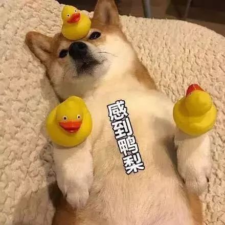 花几百元买一支口红值得吗,花几百买一支口红