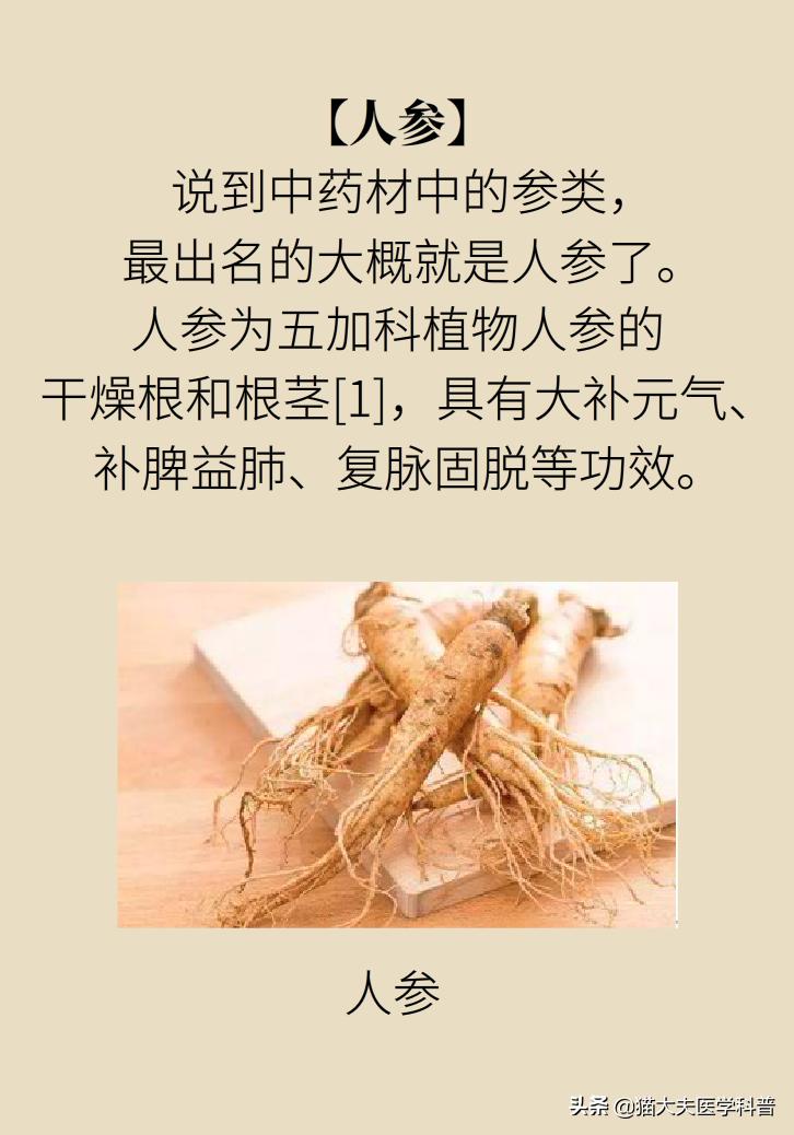 人参西洋参党参红参太子参的区分,人参红参太子参党参西洋参的区分