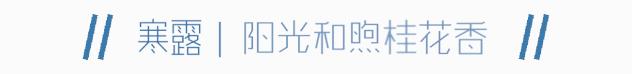 乌镇冬天好看吗,乌镇夏天怎么样