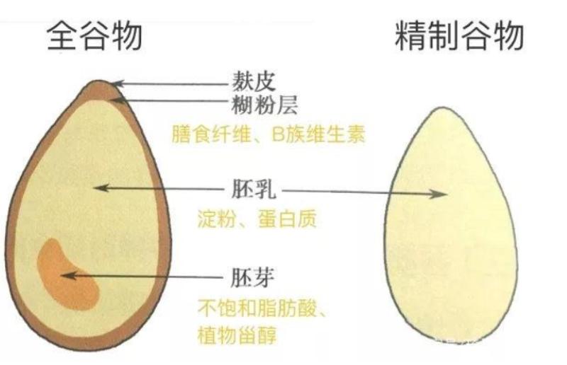 怎么煮出又软又糯的糙米饭,糙米饭怎么煮更软糯过程